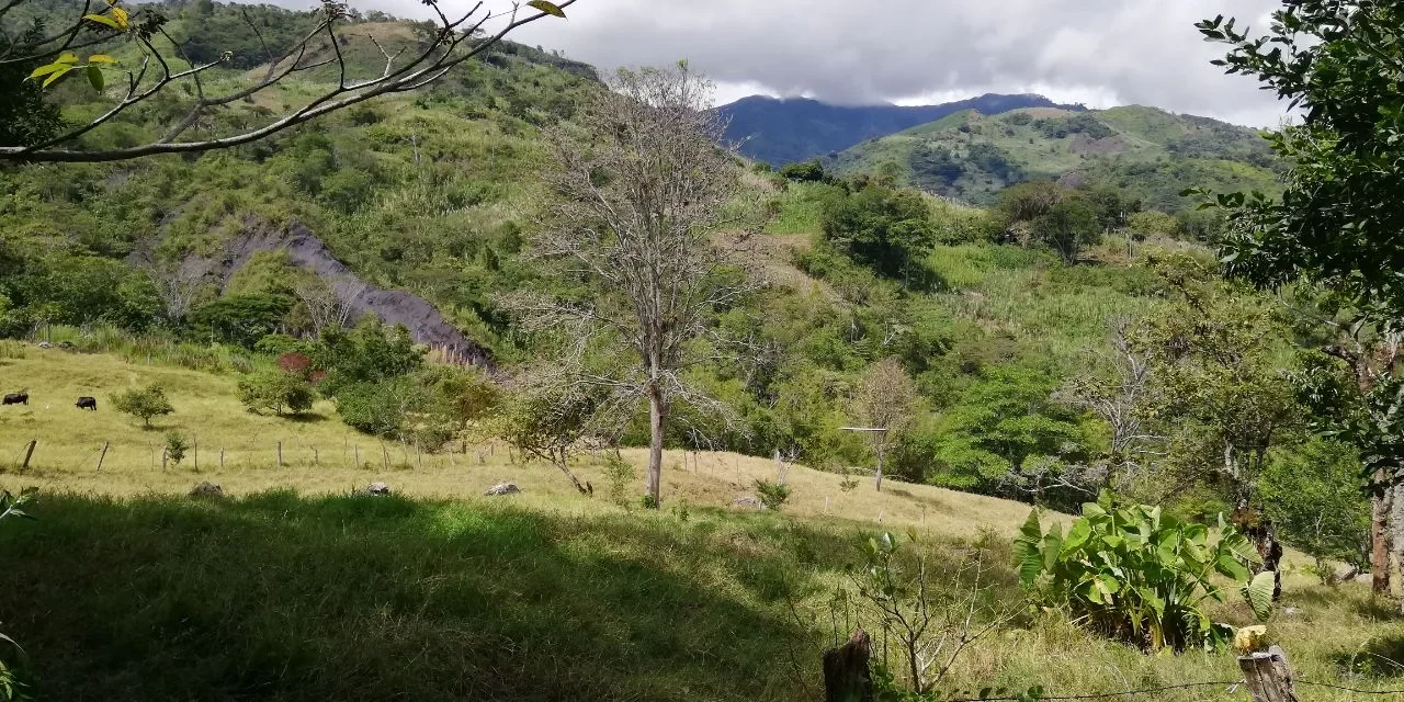 842f688b-4a07-4be3-83ee-7eaf27e91580