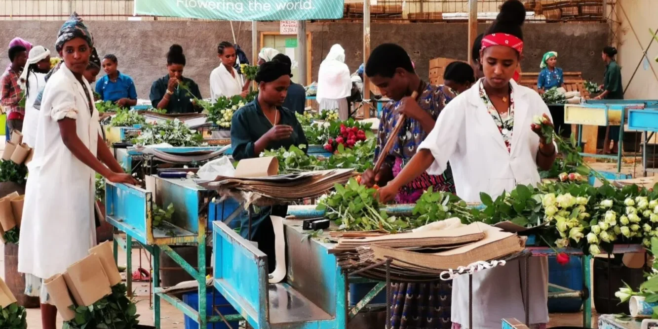 Conflict Sensitive Investment Program