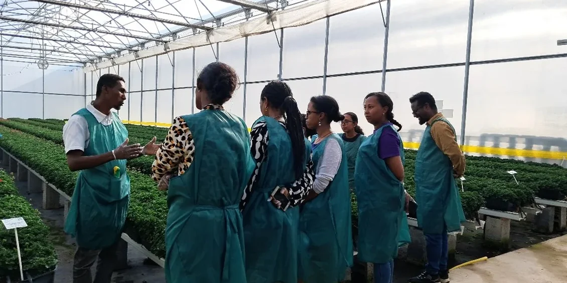 Ethiopia Netherlands Seed Partnership Women Led Business Incubator