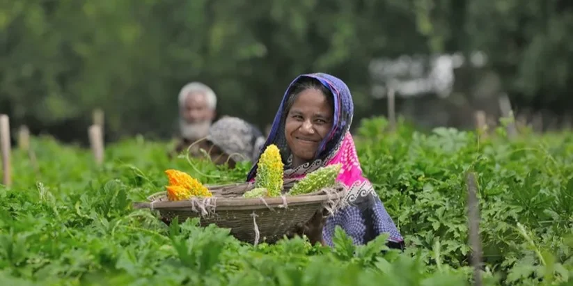 Horticulture Sector Study