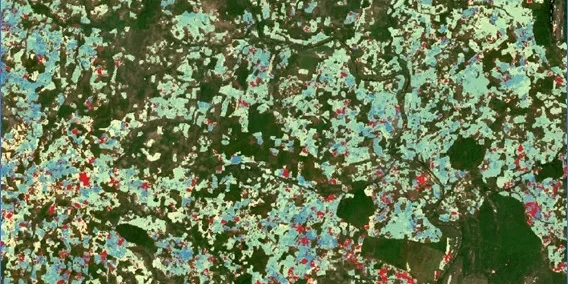 SmartGrain Revolutionising Grain Management For Smallholder Farmers