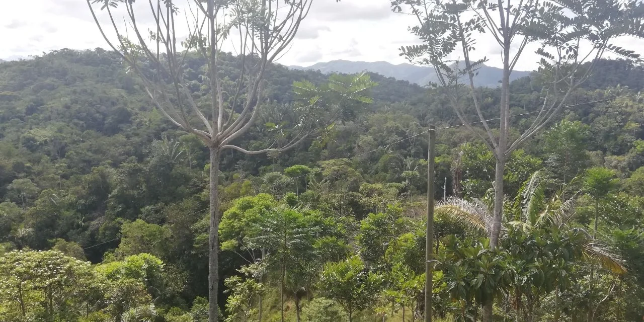 c0e0c084-aadb-45b7-884b-71120ecbfcbe