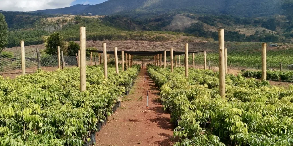 iIZ3qXOnQ4SsFVV8L0pMg_thumb_39d-1